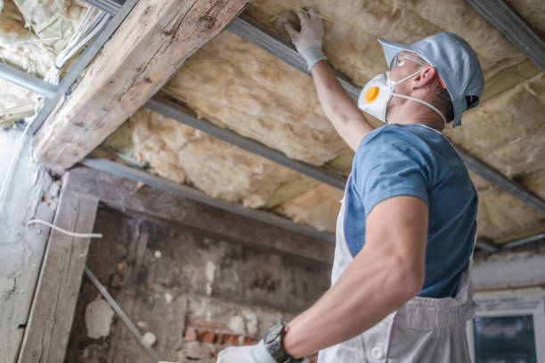 Best Affordable Insulation Services  in Porter, IN