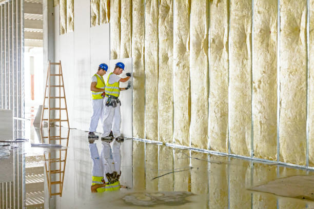 Best Insulation Removal  in Porter, IN
